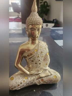 blissful Buddha StatueCondition brand new no returns Feel free to ask questio